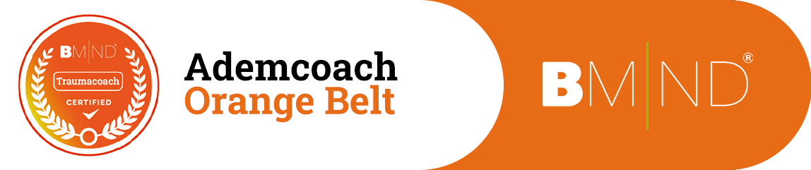 Orange Belt - Batche